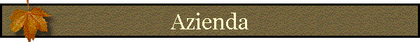 Azienda